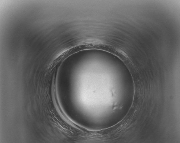 X0000059841112200510281817