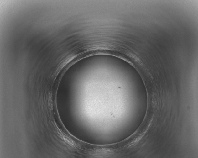 X0000059841113200510281817