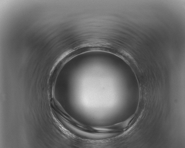 X0000059841114200510281817