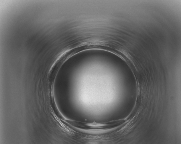 X0000059841115200510281817