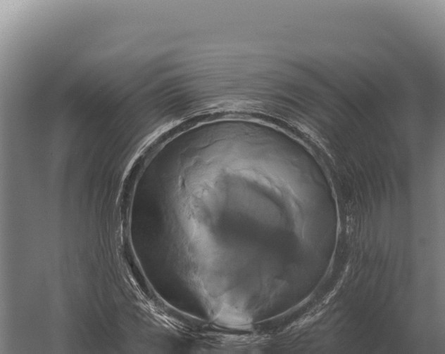 X0000059841117200510281817