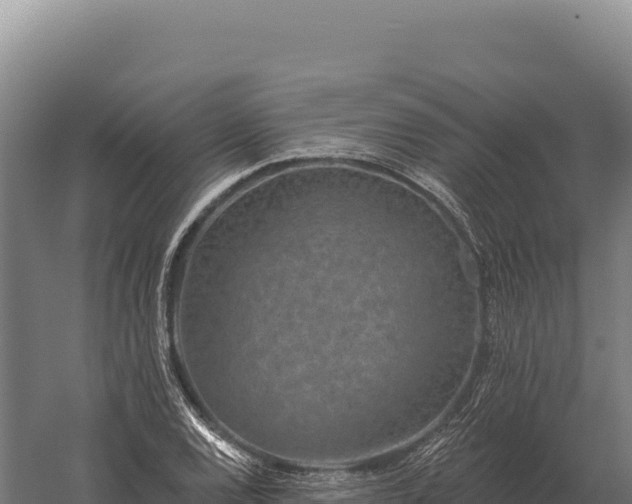 X0000059841120200510281817