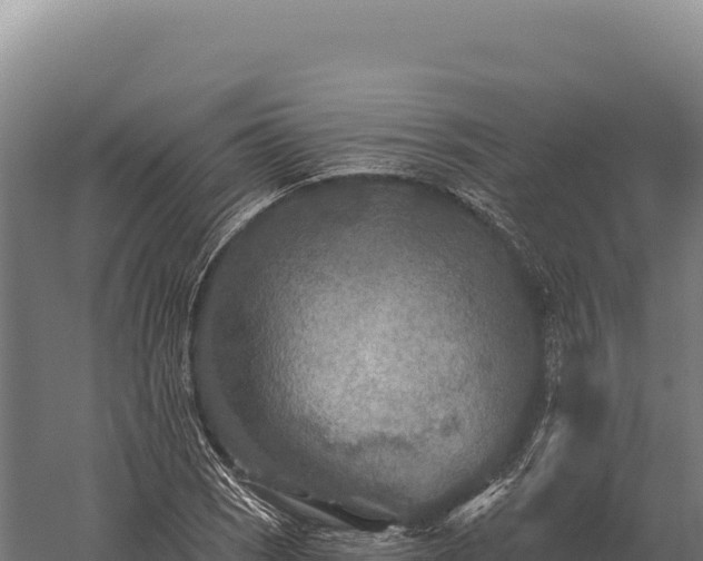 X0000059841121200510281817