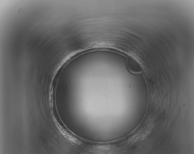 X0000059841126200510281817