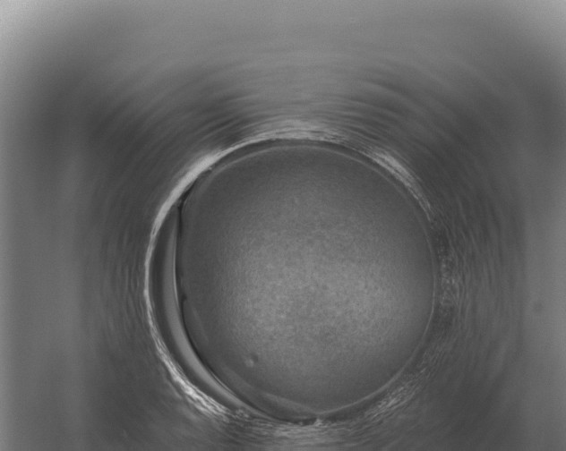 X0000059841128200510281817