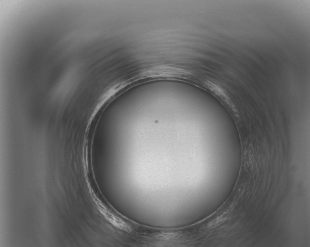 X0000059841130200510281817