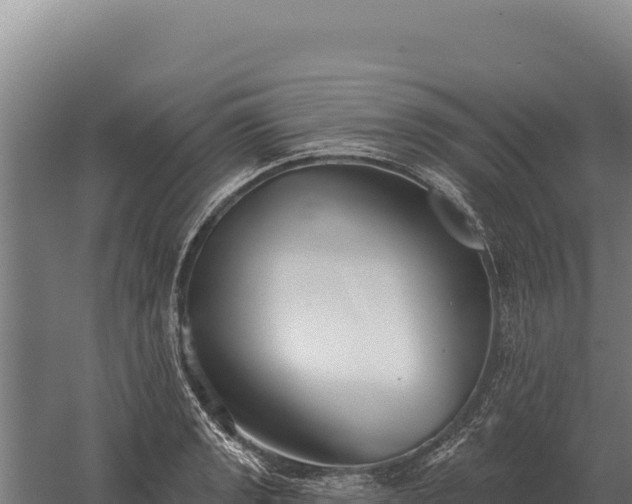 X0000059841133200510281817