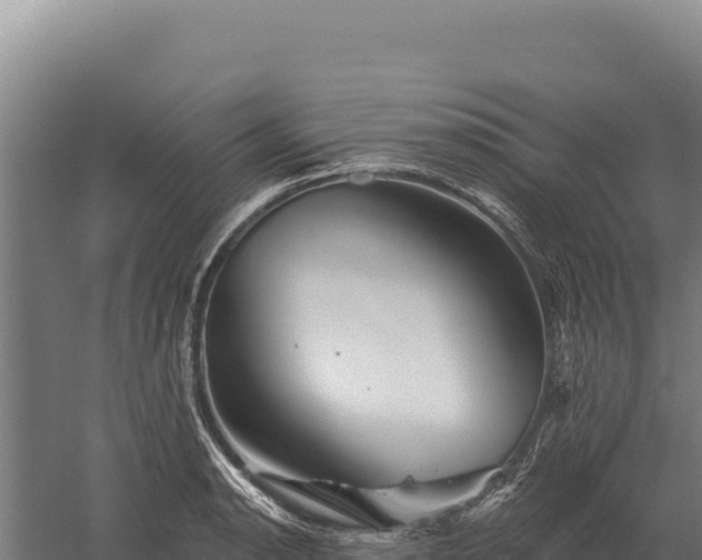 X0000059841134200510281817