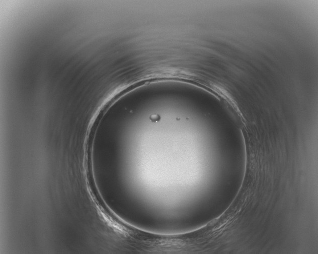 X0000059841136200510281817