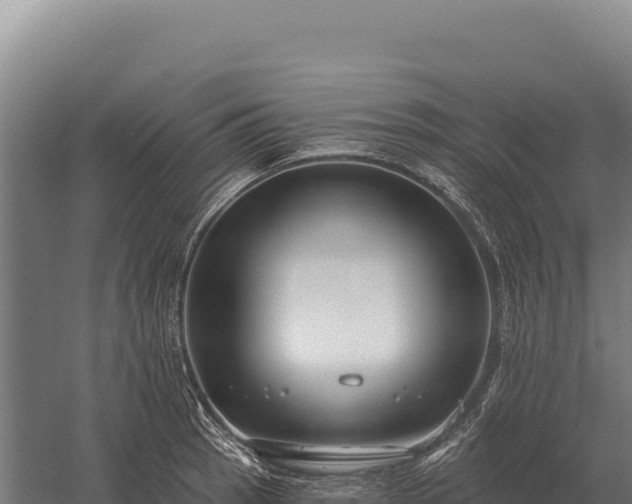 X0000059841137200510281817