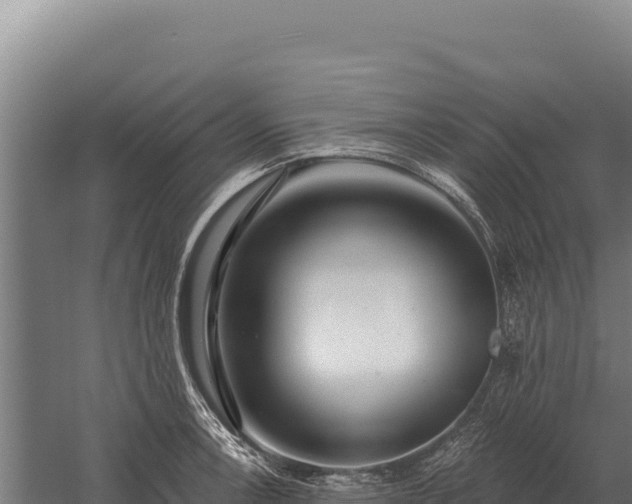 X0000059841138200510281817