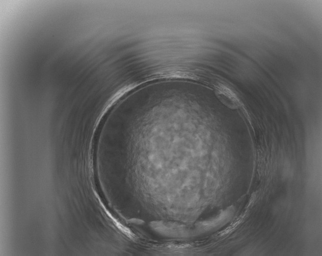 X0000059841141200510281817