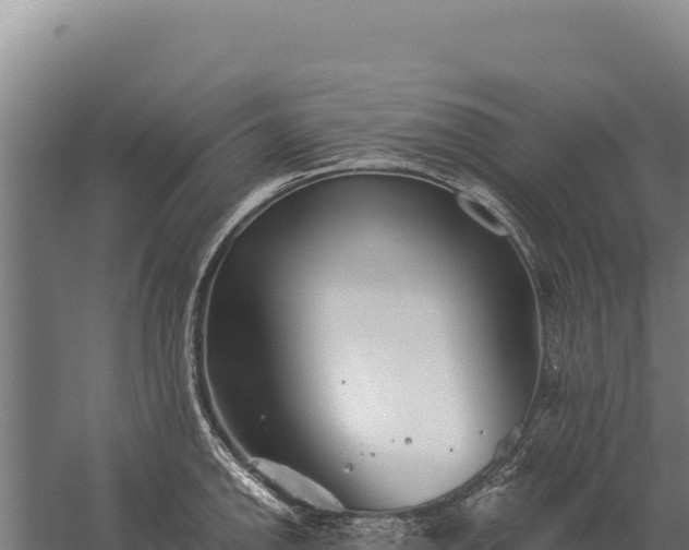 X0000059841142200510281817