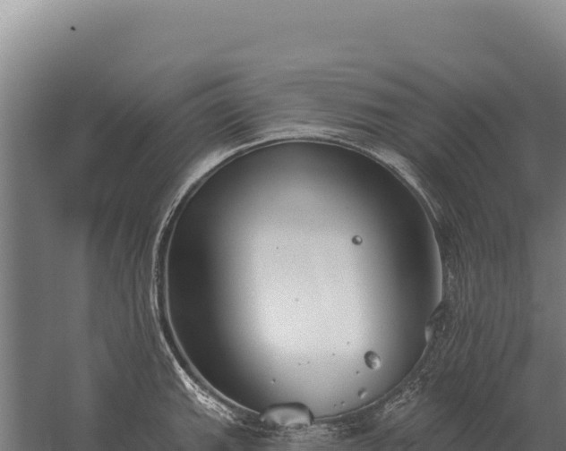 X0000059841143200510281817