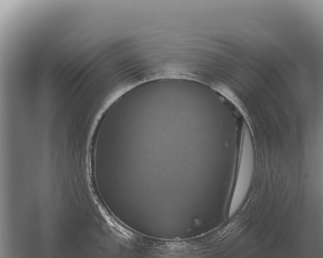 X0000059841144200510281817