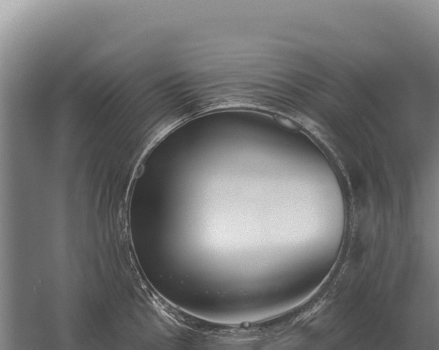 X0000059841145200510281817