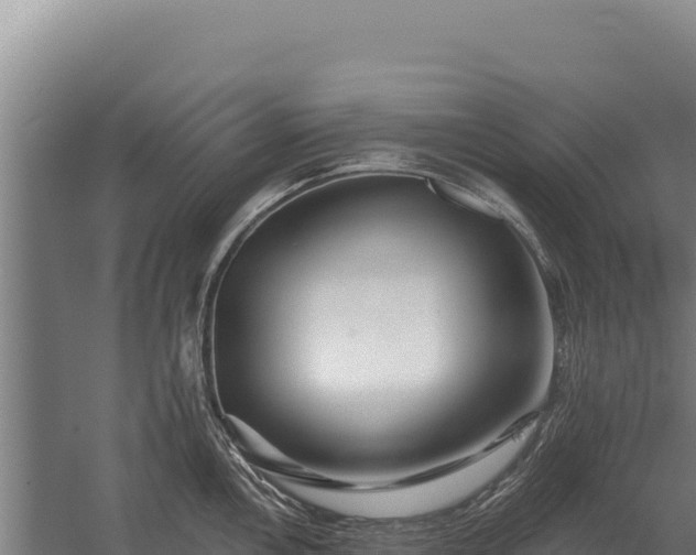 X0000059841146200510281817