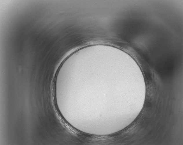 X0000059841150200510281818