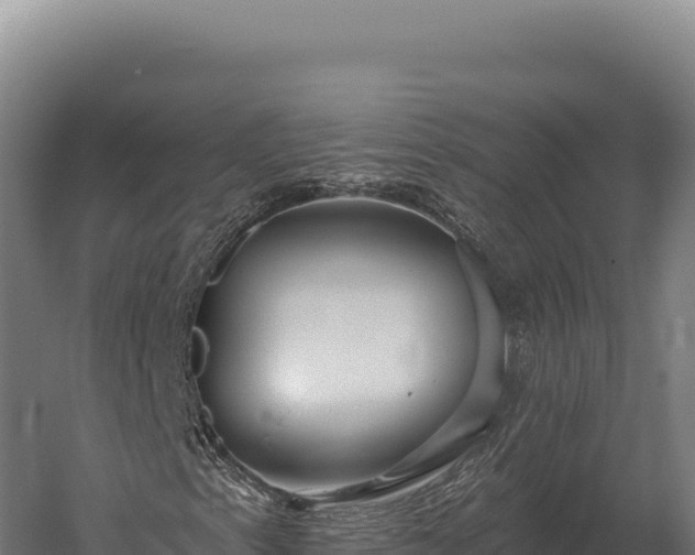 X0000059841153200510281817