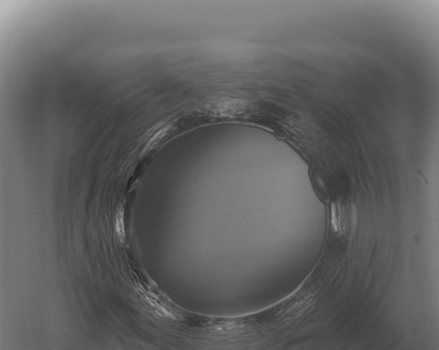 X0000059841155200510281817