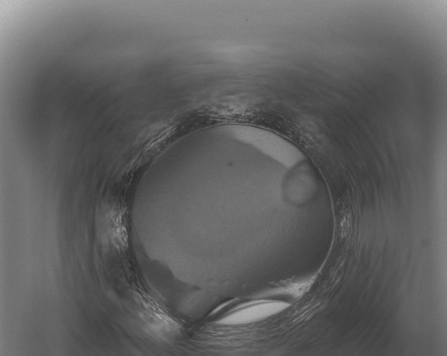 X0000059841156200510281817