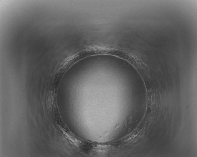 X0000059841157200510281817