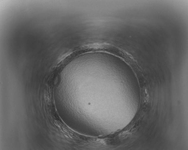 X0000059841158200510281817