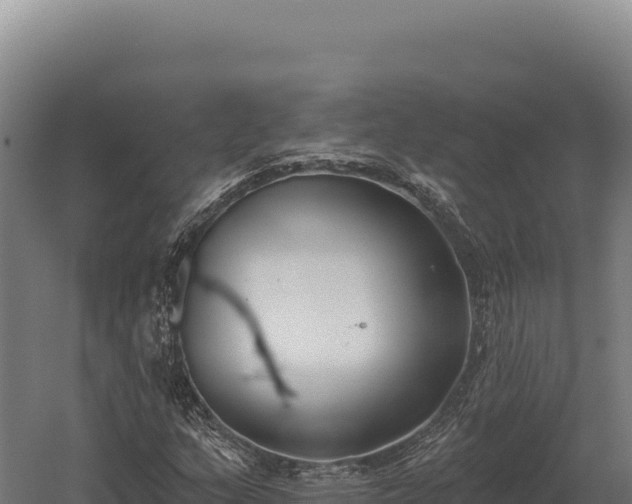 X0000059841159200510281817