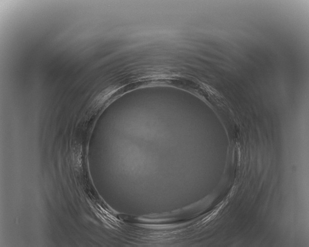 X0000059841161200510281817