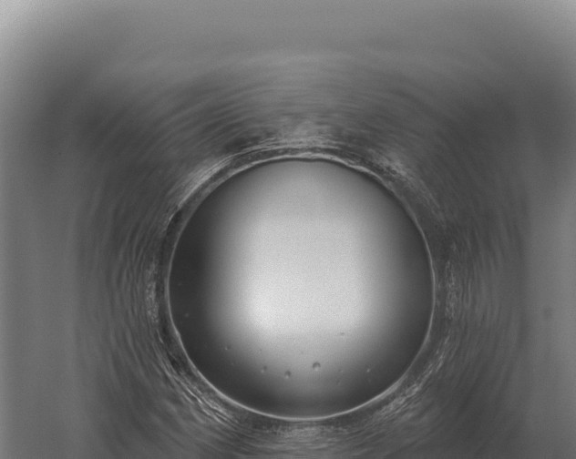 X0000059841162200510281817