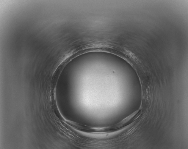 X0000059841165200510281817