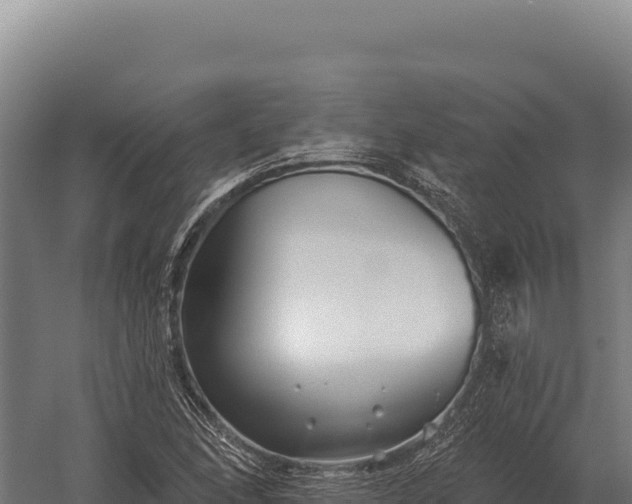 X0000059841166200510281816