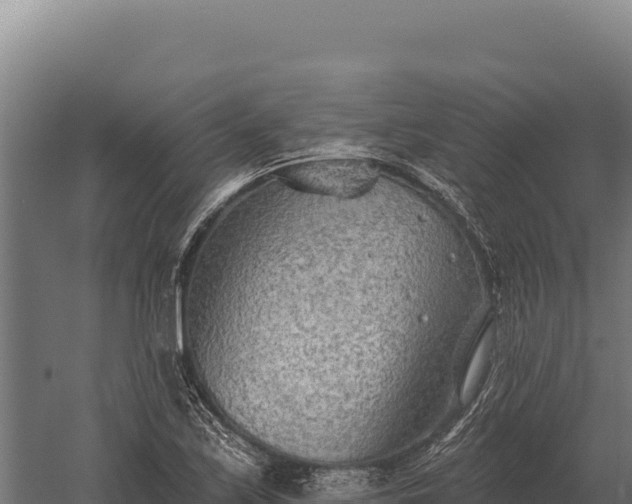 X0000059841171200510281816