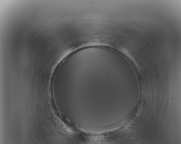 X0000059841173200510281816