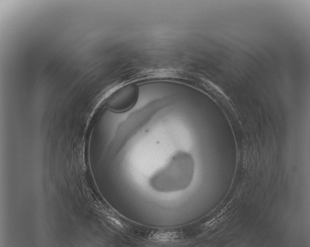 X0000059841174200510281816