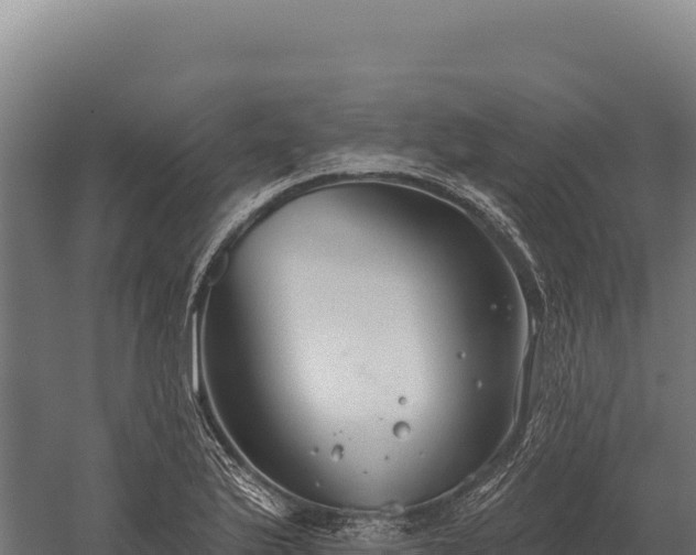 X0000059841175200510281816