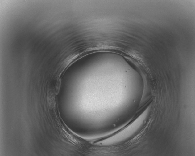 X0000059841177200510281816