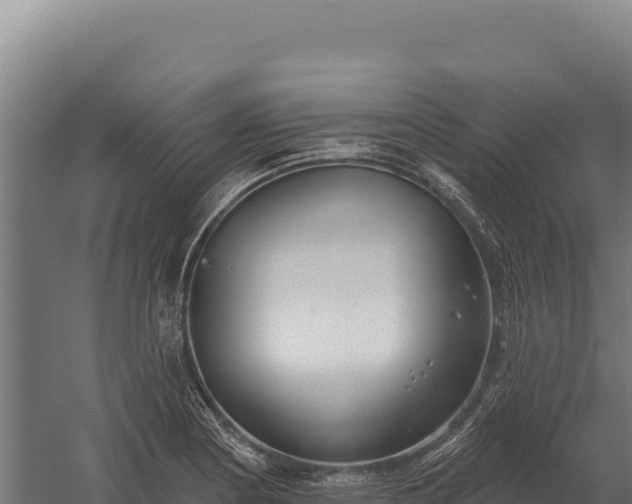 X0000059841178200510281816