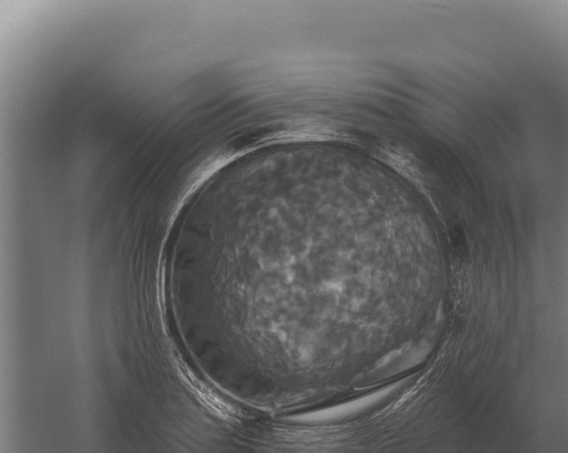 X0000059841179200510281816