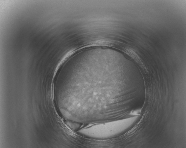 X0000059841180200510281816