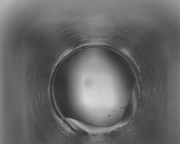 X0000059841181200510281816