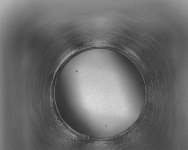 X0000059841182200510281816