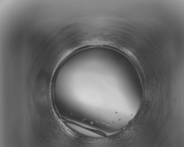 X0000059841183200510281816