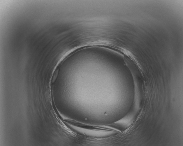 X0000059841184200510281816