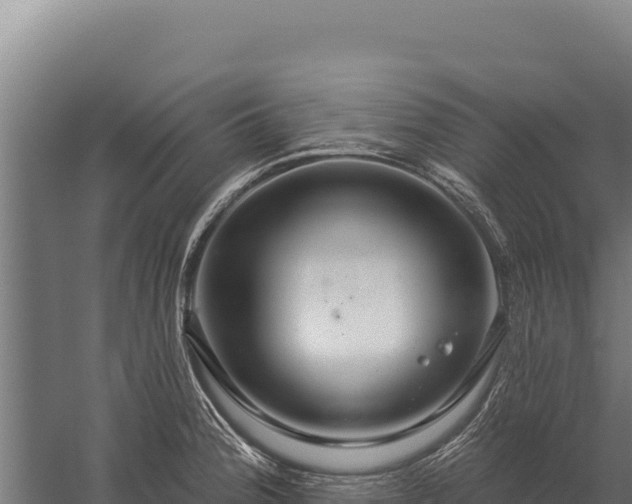 X0000059841188200510281816