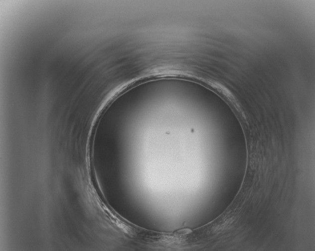 X0000059841191200510281816