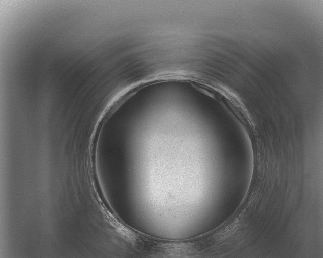 X0000059841192200510281816