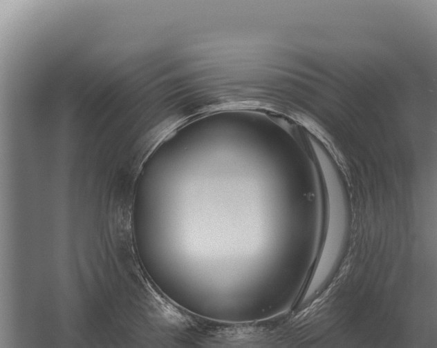 X0000059841193200510281816