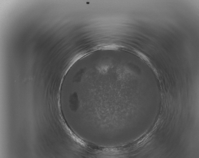 X0000059841194200510281816