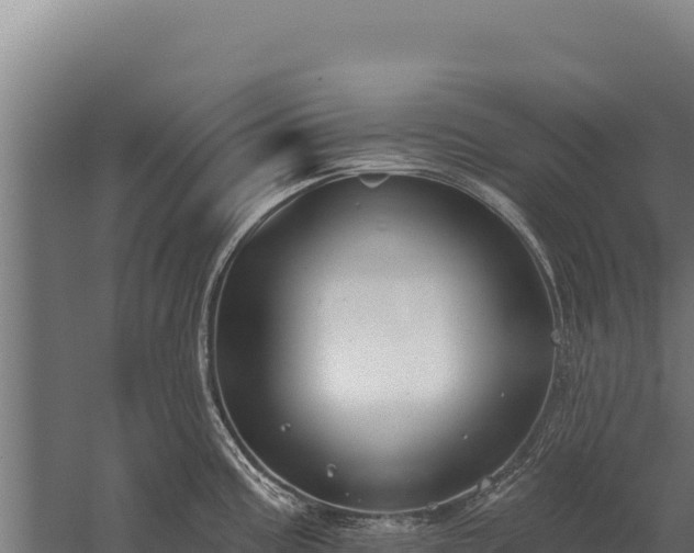 X0000059841195200510281816